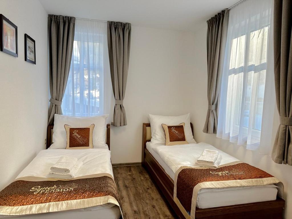 Synek Pension Шпиндлерув-Млин Экстерьер фото