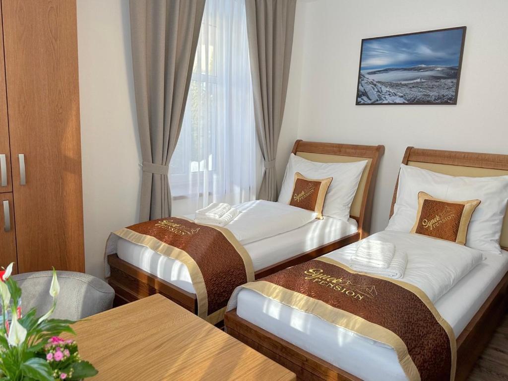 Synek Pension Шпиндлерув-Млин Экстерьер фото